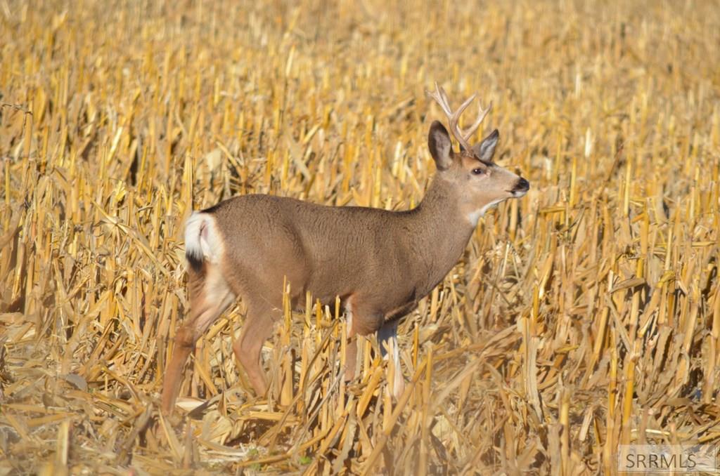 2117 Weiser River Road Weiser, ID 83672 - Photo 30 of 31