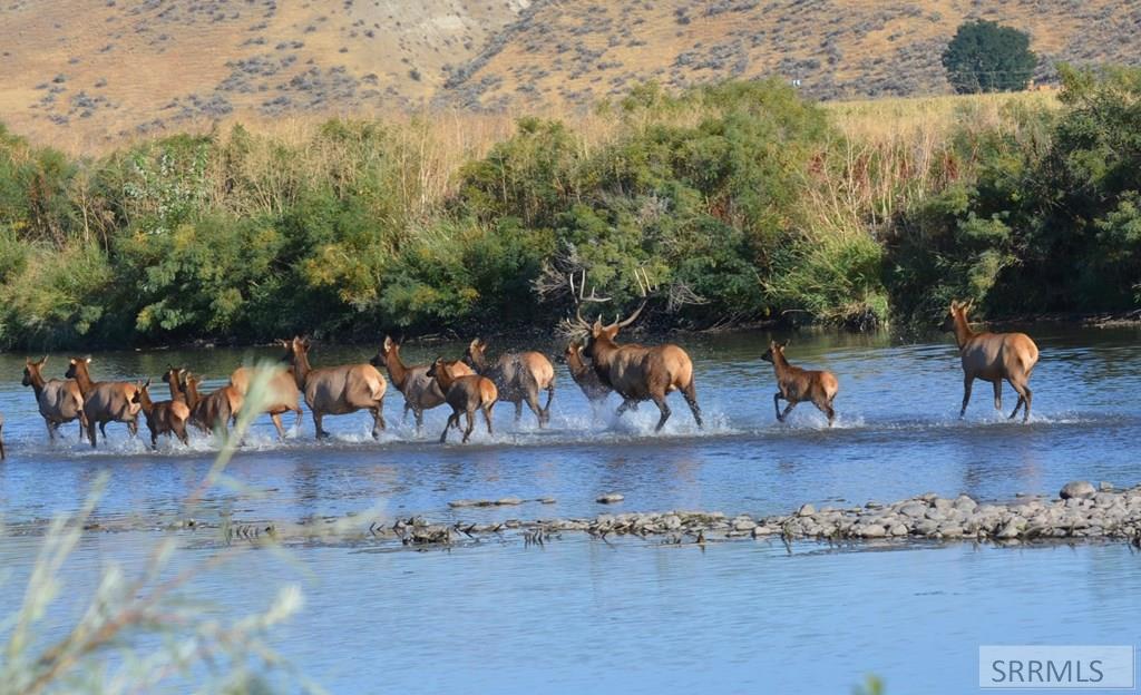 2117 Weiser River Road Weiser, ID 83672 - Photo 31 of 31