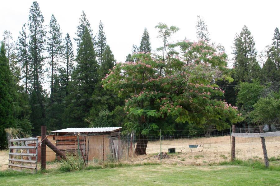 30378 Withrow Road Shingletown, CA 96088 - Photo 32 of 58 Outbuildings, view 2