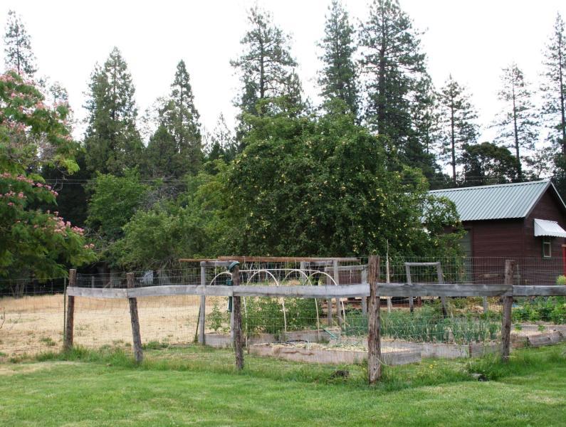 30378 Withrow Road Shingletown, CA 96088 - Photo 33 of 58 Outbuildings