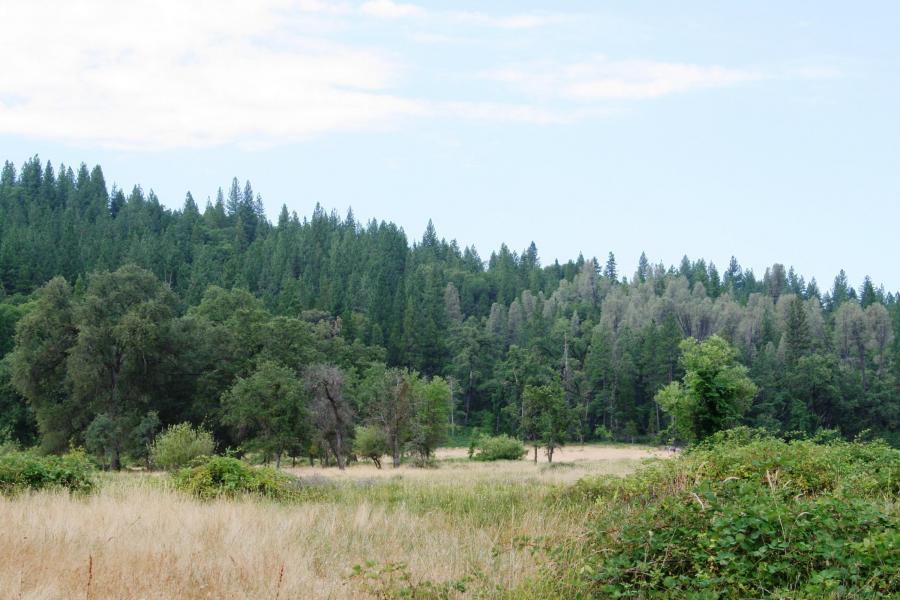 30378 Withrow Road Shingletown, CA 96088 - Photo 46 of 58 The Ranch-9