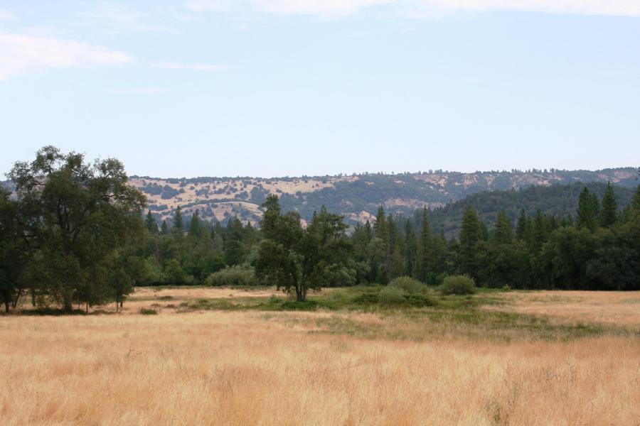 30378 Withrow Road Shingletown, CA 96088 - Photo 47 of 58 The Ranch-10