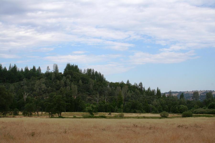 30378 Withrow Road Shingletown, CA 96088 - Photo 54 of 58 The Ranch-18