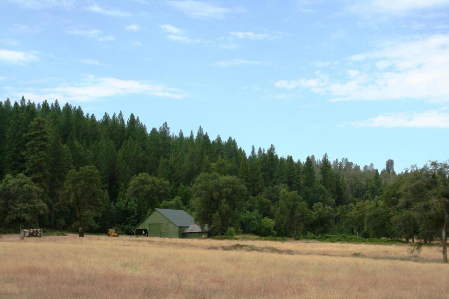 30378 Withrow Road Shingletown, CA 96088 - Photo 6 of 58 The Ranch-2