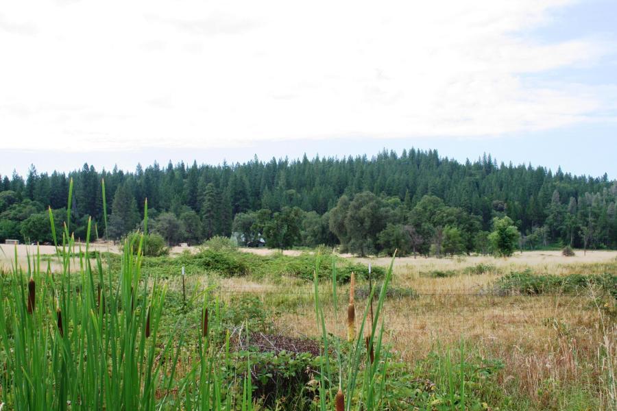 30378 Withrow Road Shingletown, CA 96088 - Photo 8 of 58 The Ranch
