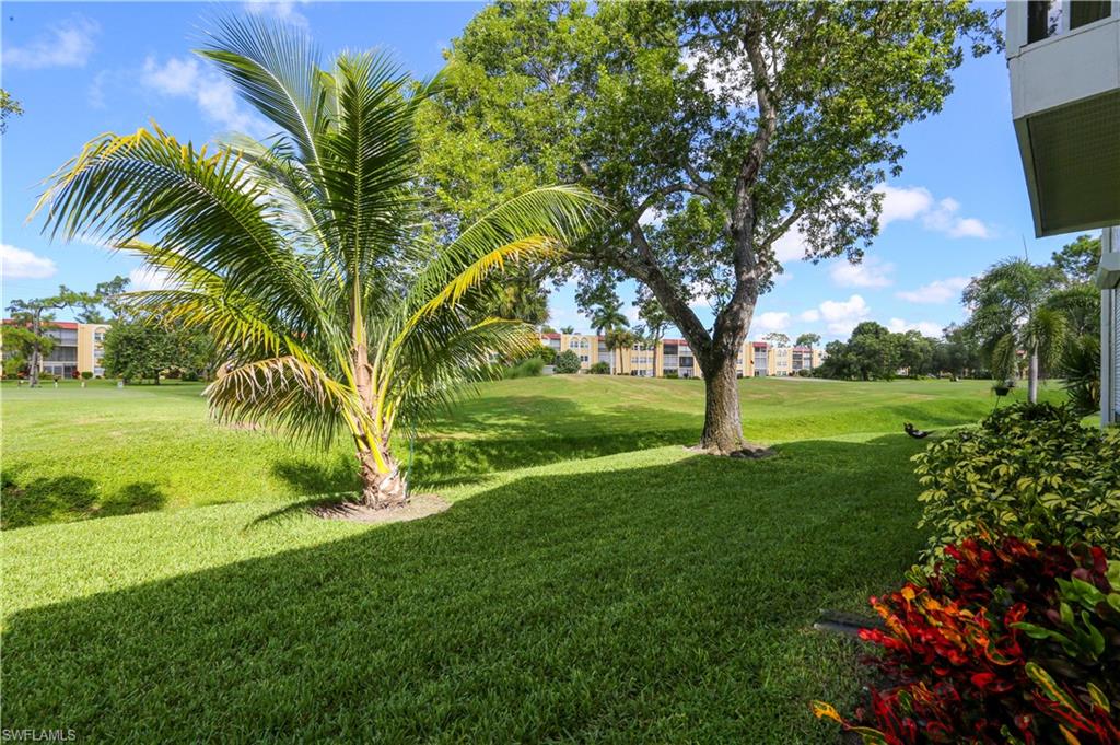 287 Quail Forest Boulevard, Unit 117 Naples, FL 34105 - Photo 29 of 29 a view of a garden with a tree