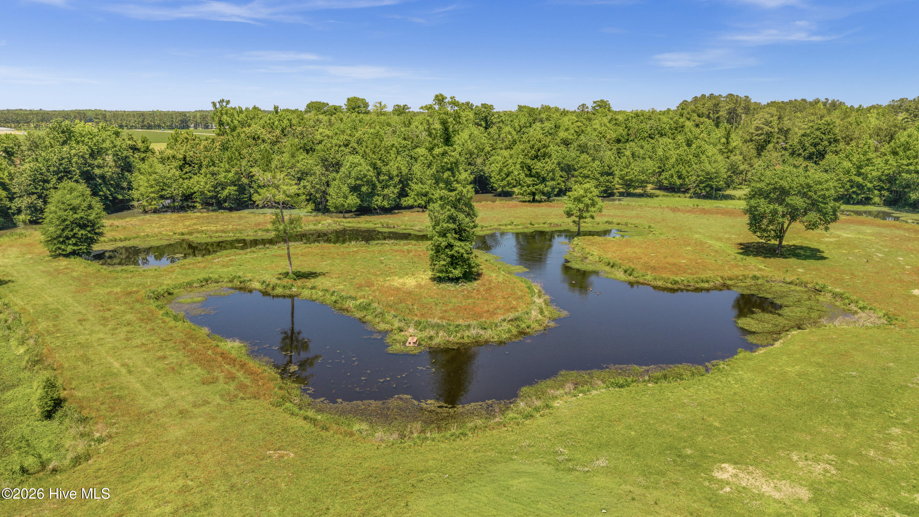 201 Winding Creek Road Rocky Point, NC 28457 - Photo 98 of 125 102-DJI_20260504013706_0037_D