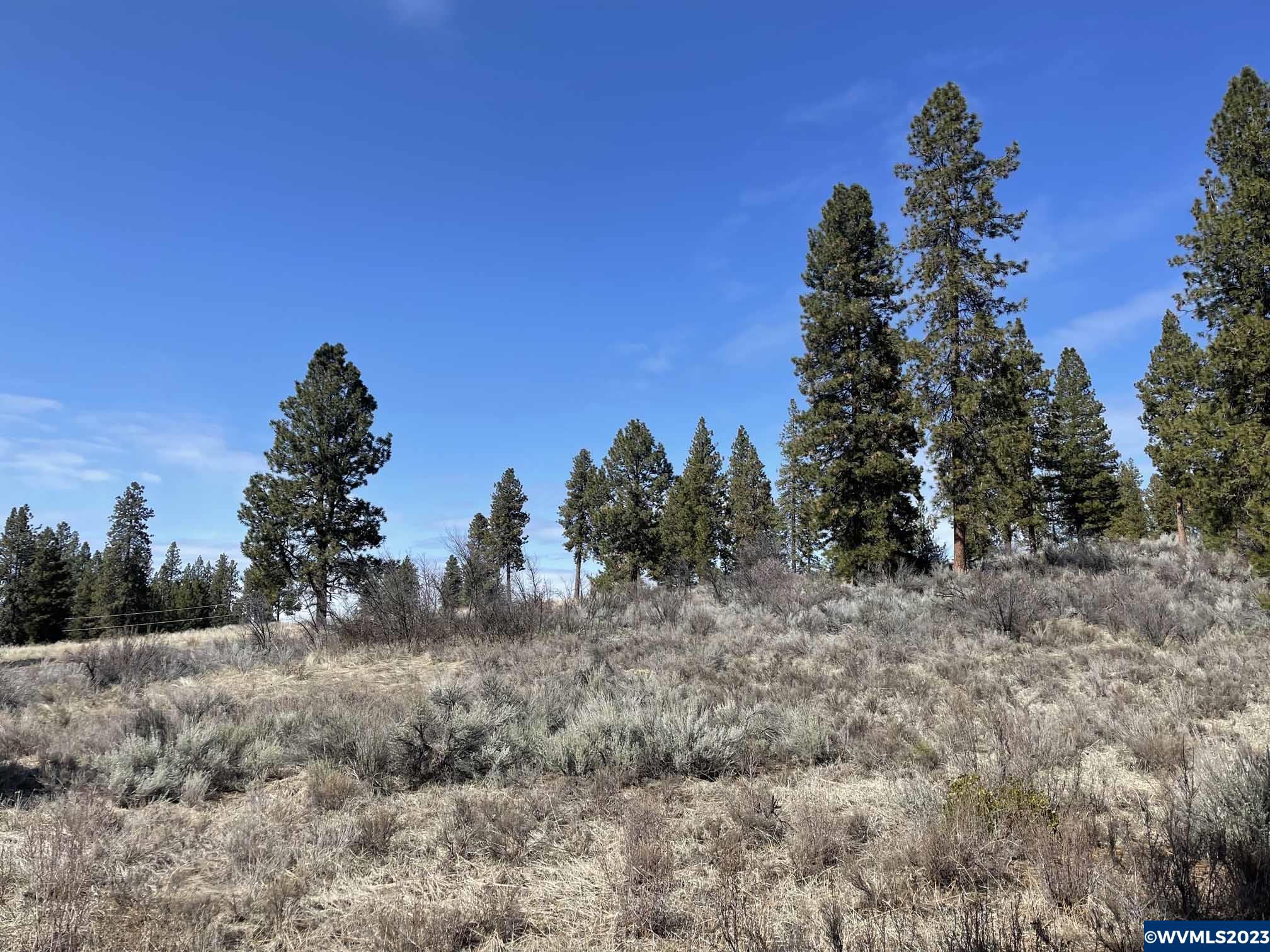 Irving (lot Chiloquin, OR 97624 - Photo 8 of 9