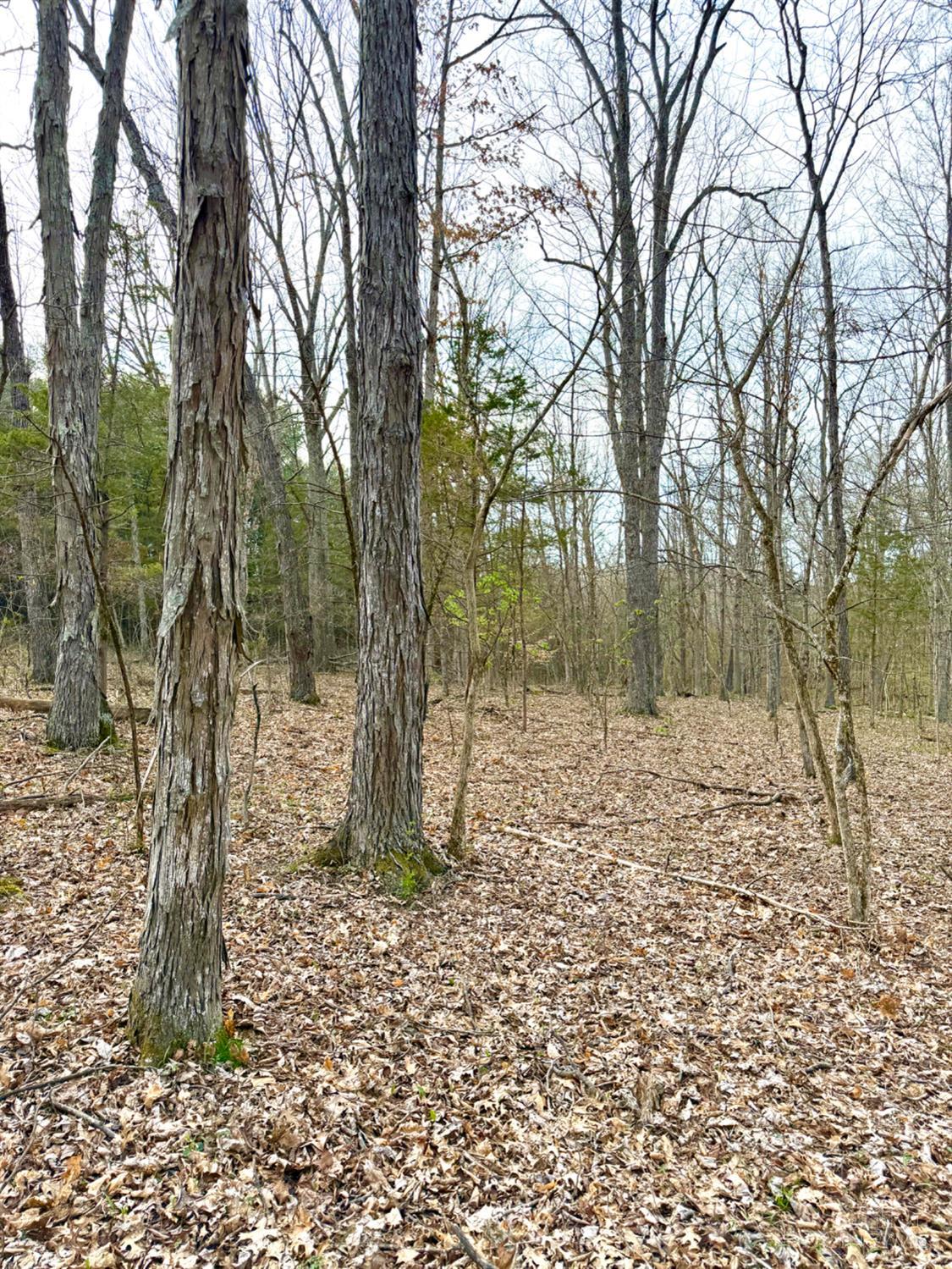 1600 Magee Jones Road Peebles, OH 45660 - Photo 45 of 91