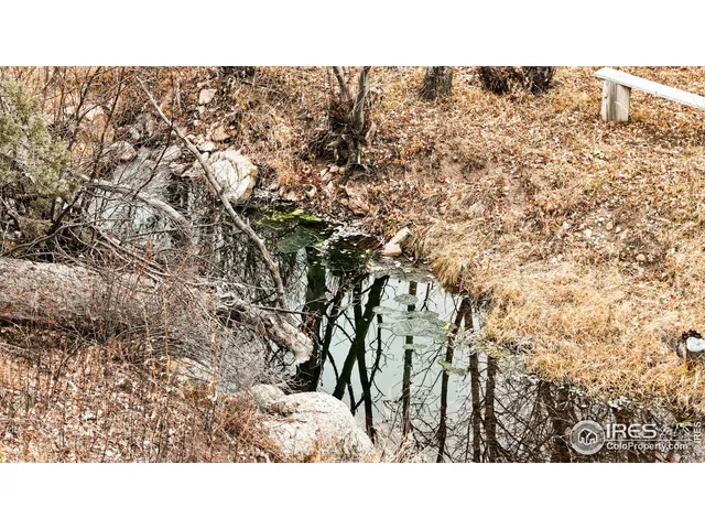 a black and white photo of a house