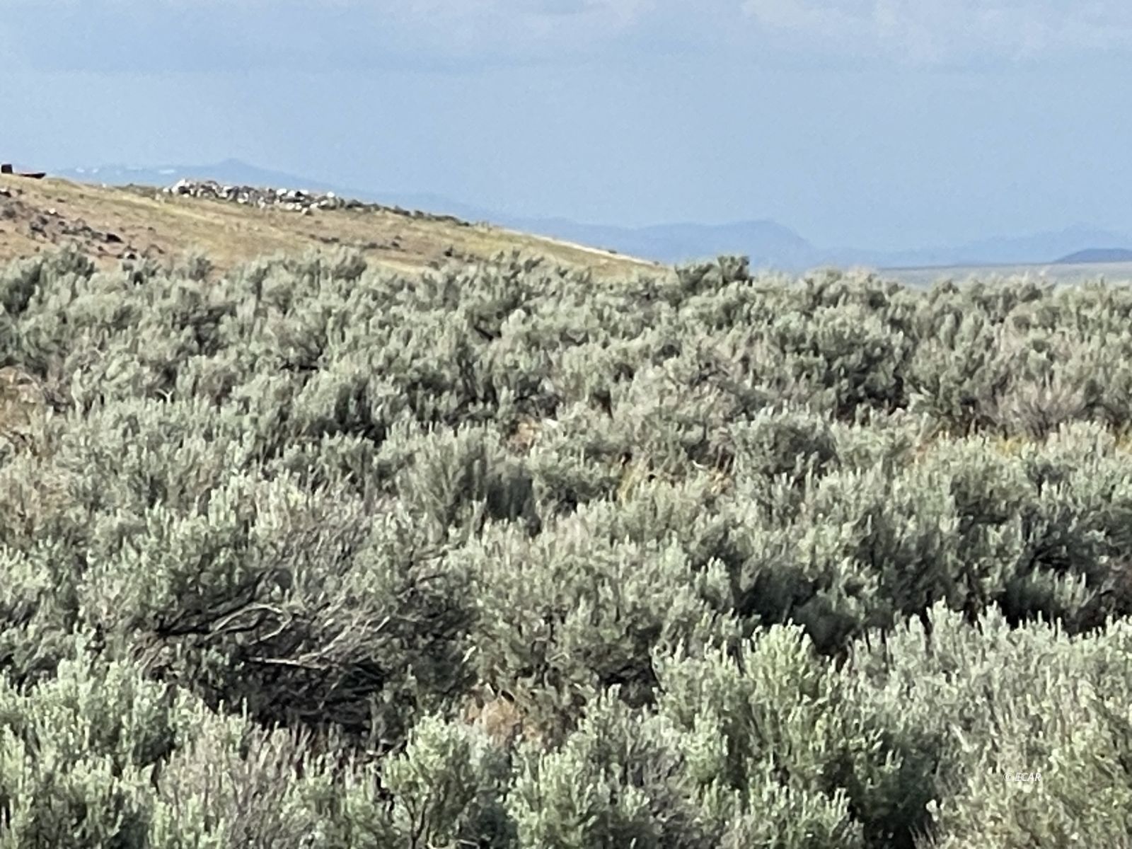 Button Point Golconda, NV 89414 - Photo 16 of 23