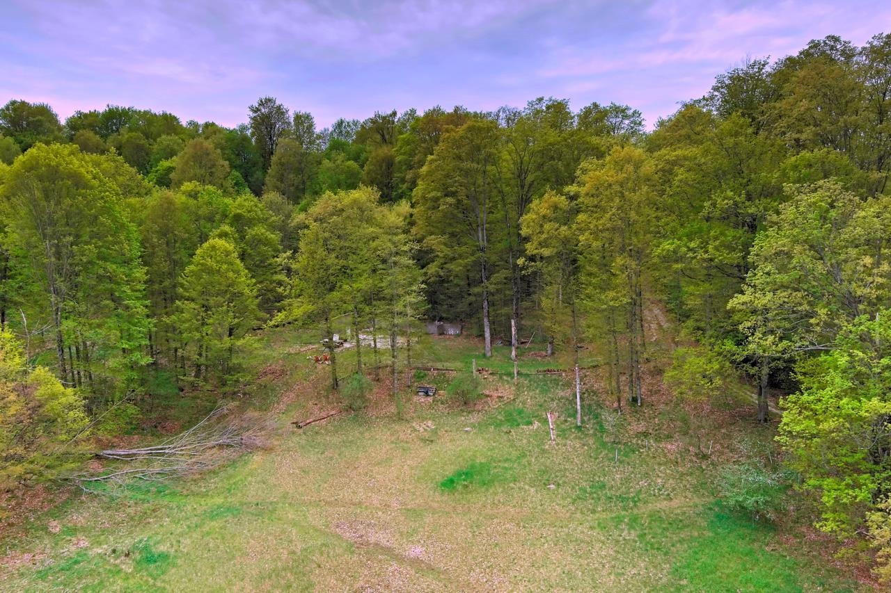 1555 North Haze Road Beulah, MI 49617 - Photo 8 of 15 Gallery Image 8