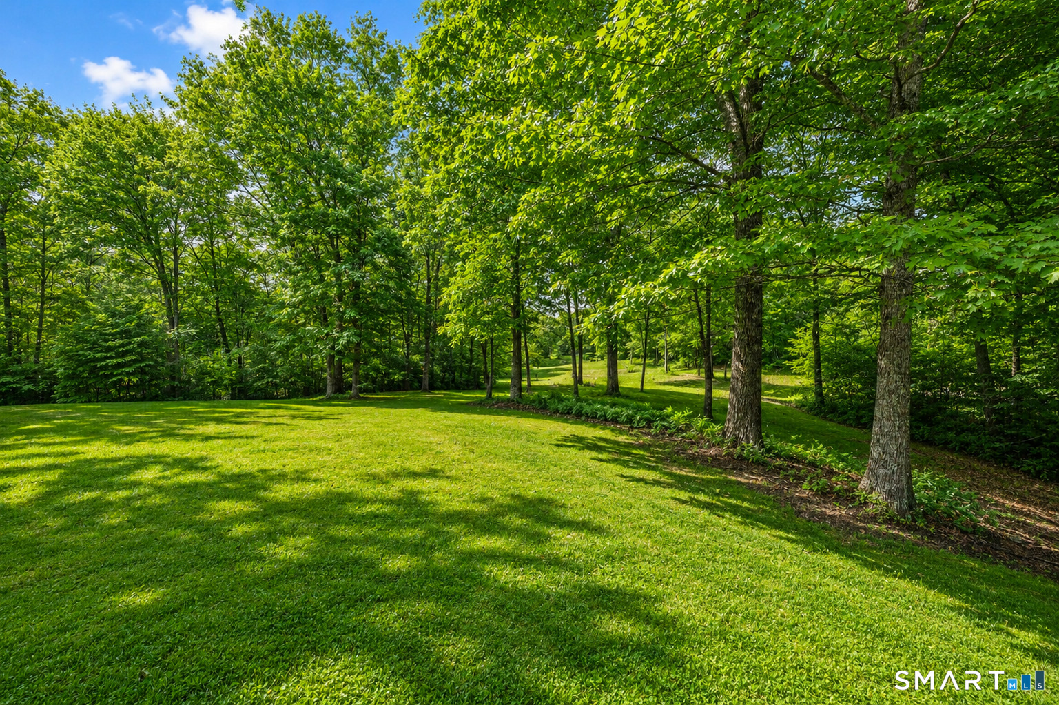 96 Spak Road Willington, CT 06279 - Photo 31 of 40 Open clearings are lined with mature woodlands for ultimate serenity and privacy.