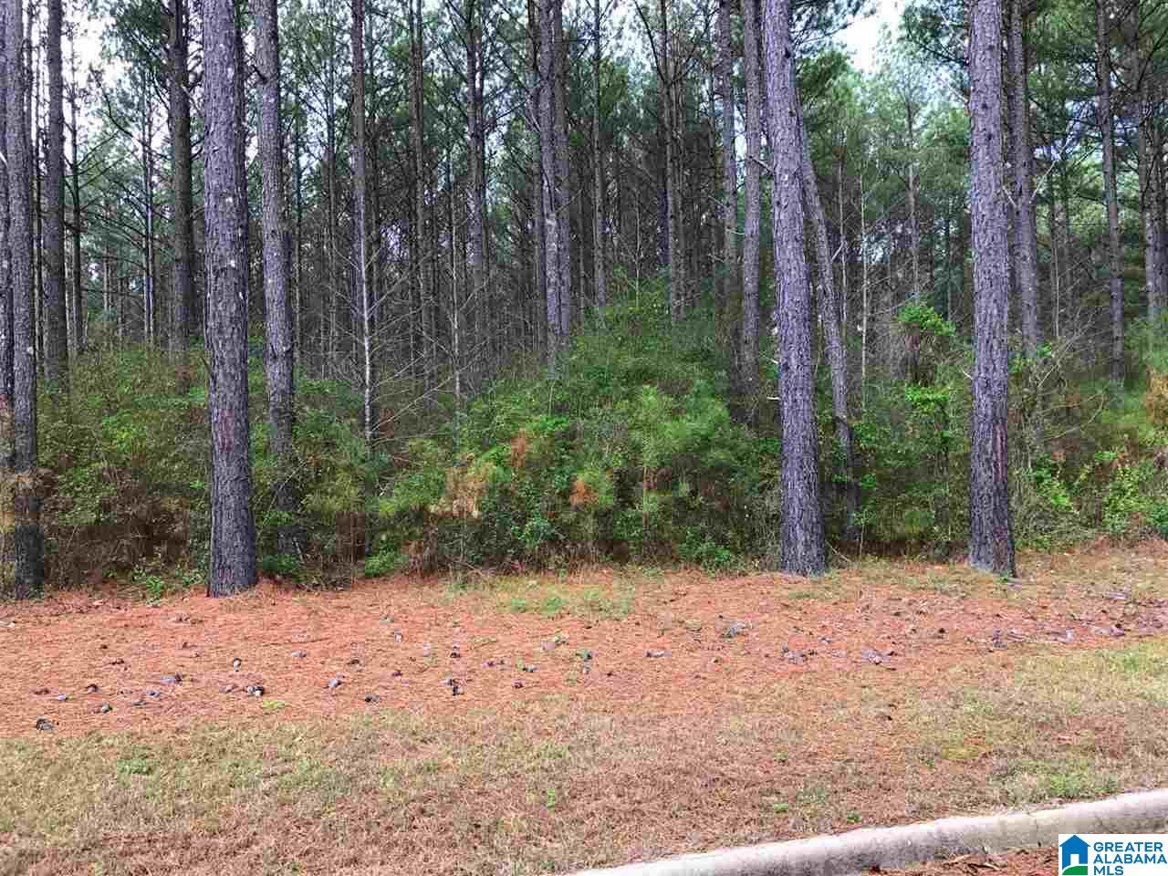 78 Pilgrims Path, Unit 19 Anniston, AL 36207 - Photo 30 of 35
