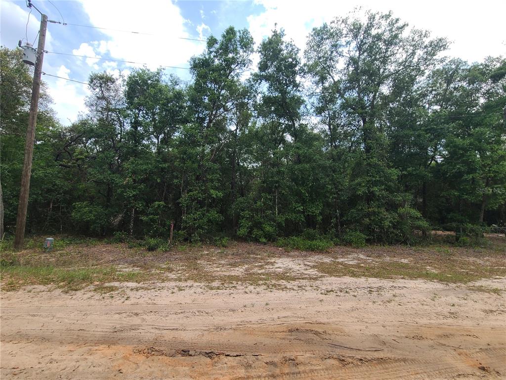 6504 Baylor Avenue Keystone Heights, FL 32656 - Photo 1 of 1 Gallery Image 1