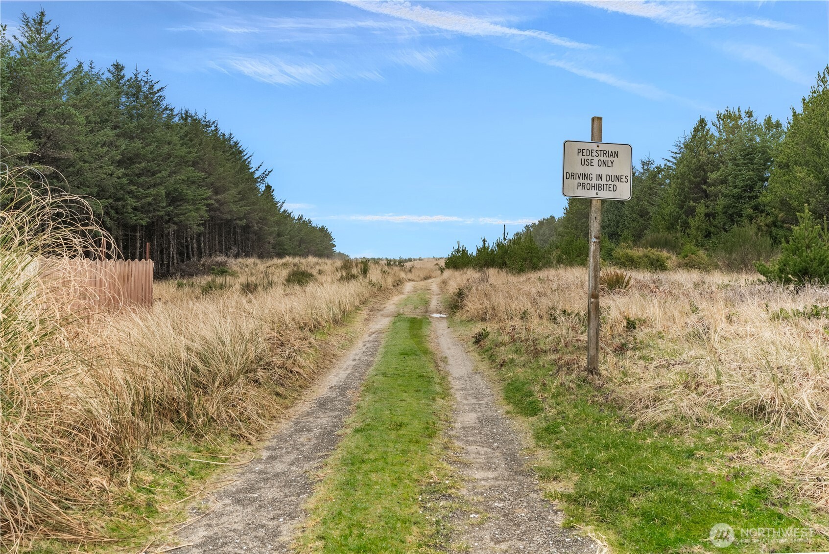 1206 184th Place Long Beach, WA 98631 - Photo 37 of 37