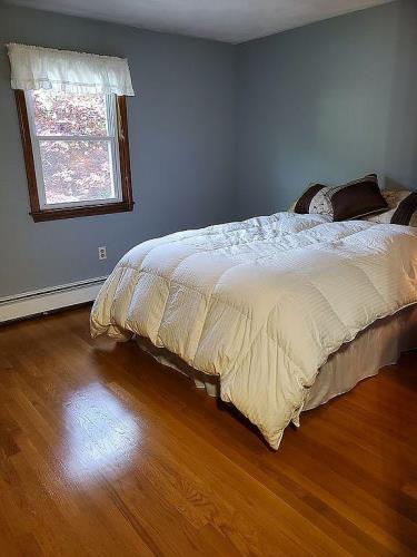 1 June Circle Wakefield, MA 01880 - Photo 21 of 38