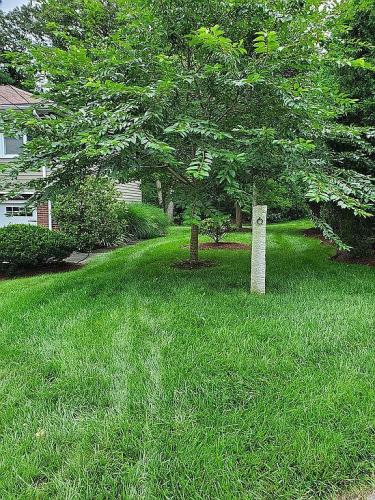 1 June Circle Wakefield, MA 01880 - Photo 3 of 38