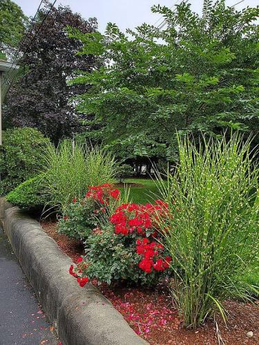 1 June Circle Wakefield, MA 01880 - Photo 6 of 38