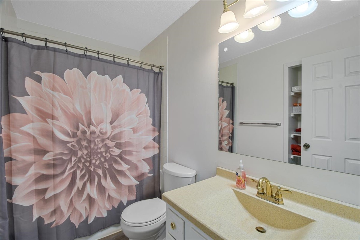 275 Alexander Drive Rantoul, IL 61866 - Photo 11 of 24 a bathroom with a sink vanity mirror and toilet