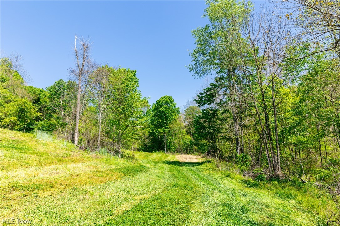 37500 Goose Run Road Dexter City, OH 45727 - Photo 34 of 50
