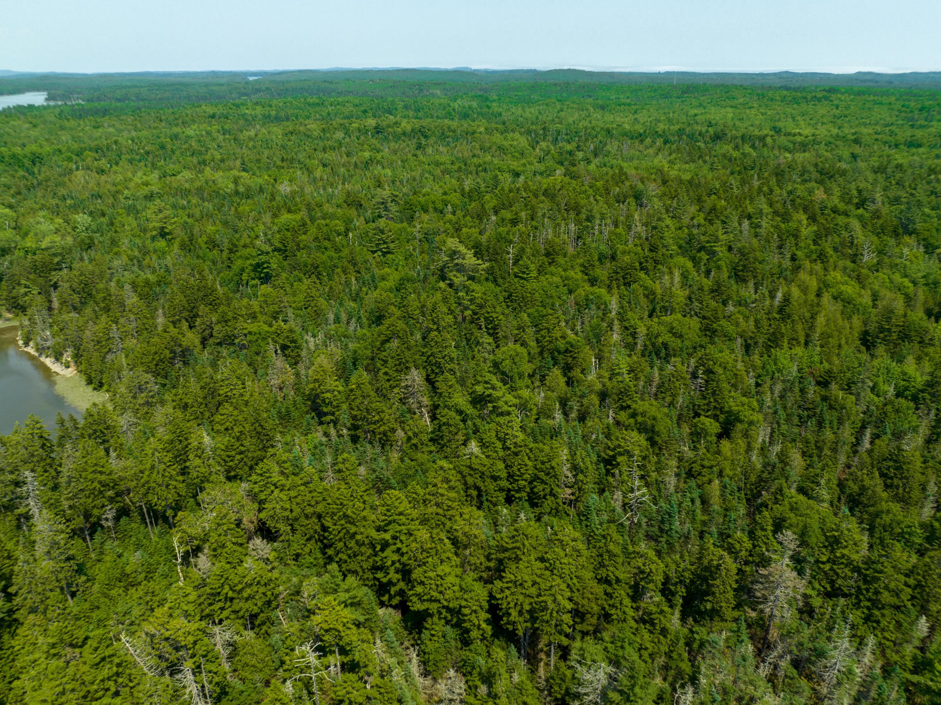 40.4 Timber Cove Road Lubec, ME 04652 - Photo 8 of 27 Lot 40.4 Timber Cove Road, Trescott (15