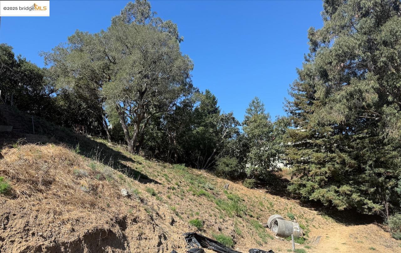 0 Sheridan Oakland, CA 94618 - Photo 5 of 7 View of wooded area