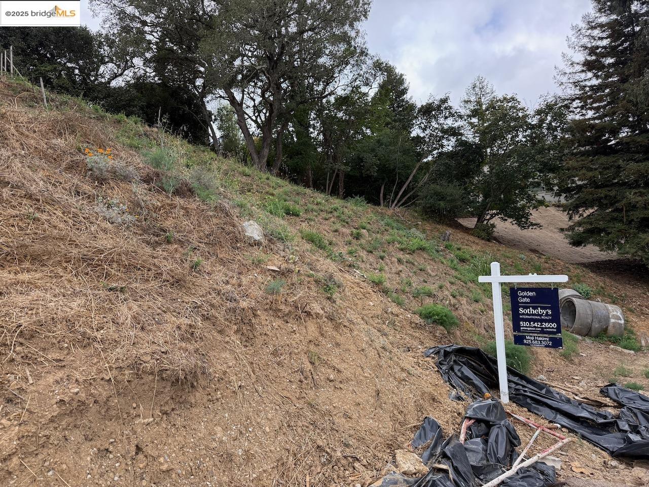 0 Sheridan Oakland, CA 94618 - Photo 6 of 7 Exterior view