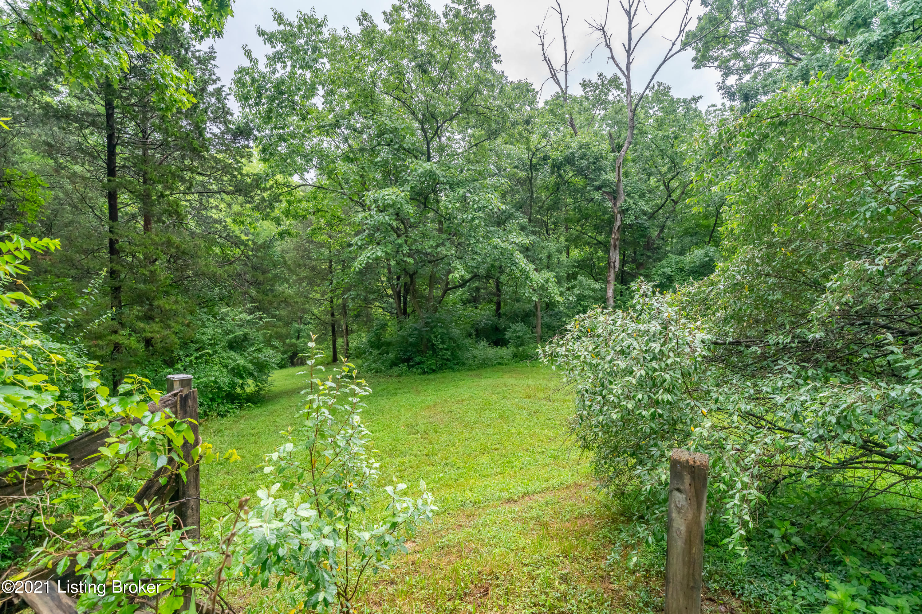 3505 Sycamore Road La Grange, KY 40031 - Photo 2 of 27 backyard
