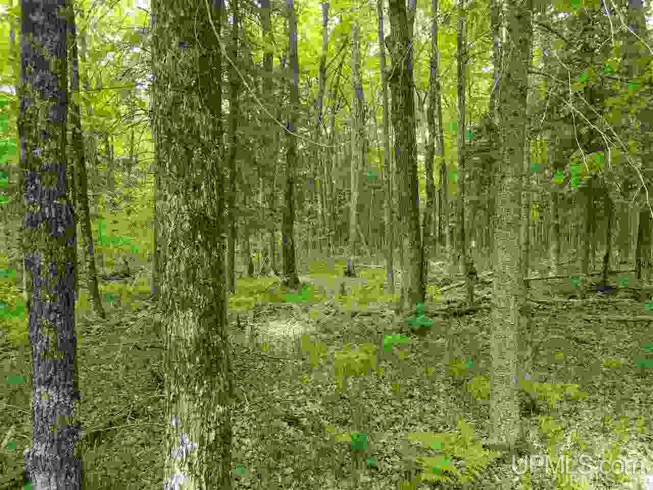 40-ac Parks Farm Road Iron River, MI 49935 - Photo 13 of 20