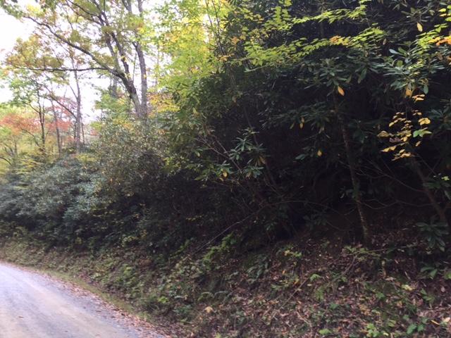 0 Green Corner Road Hartford, TN 37753 - Photo 1 of 2 IMG_2897