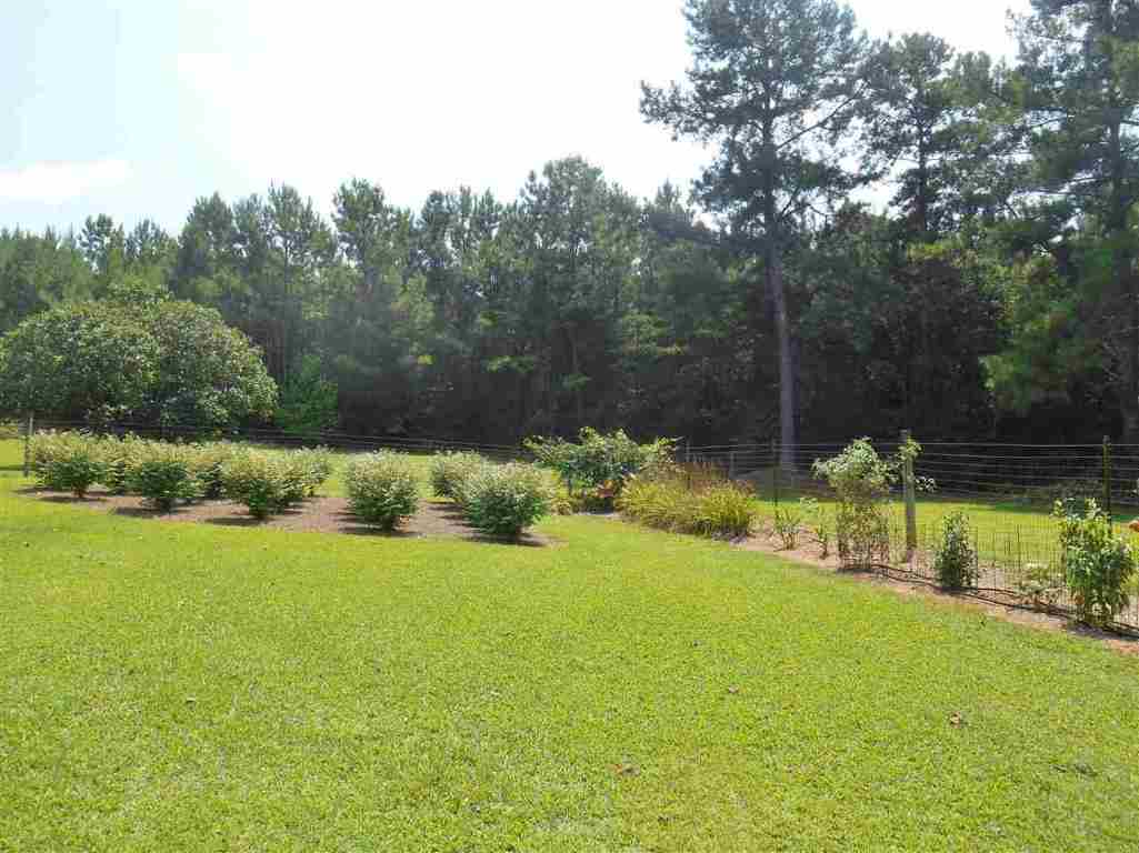 2132 Ruhamsh Road Liberty, SC 29657 - Photo 27 of 35