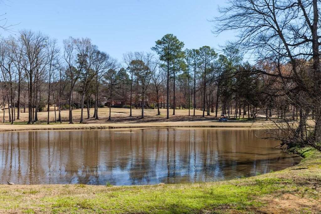 142 Sunflower Road Madison, MS 39110 - Photo 2 of 30 Photo 2