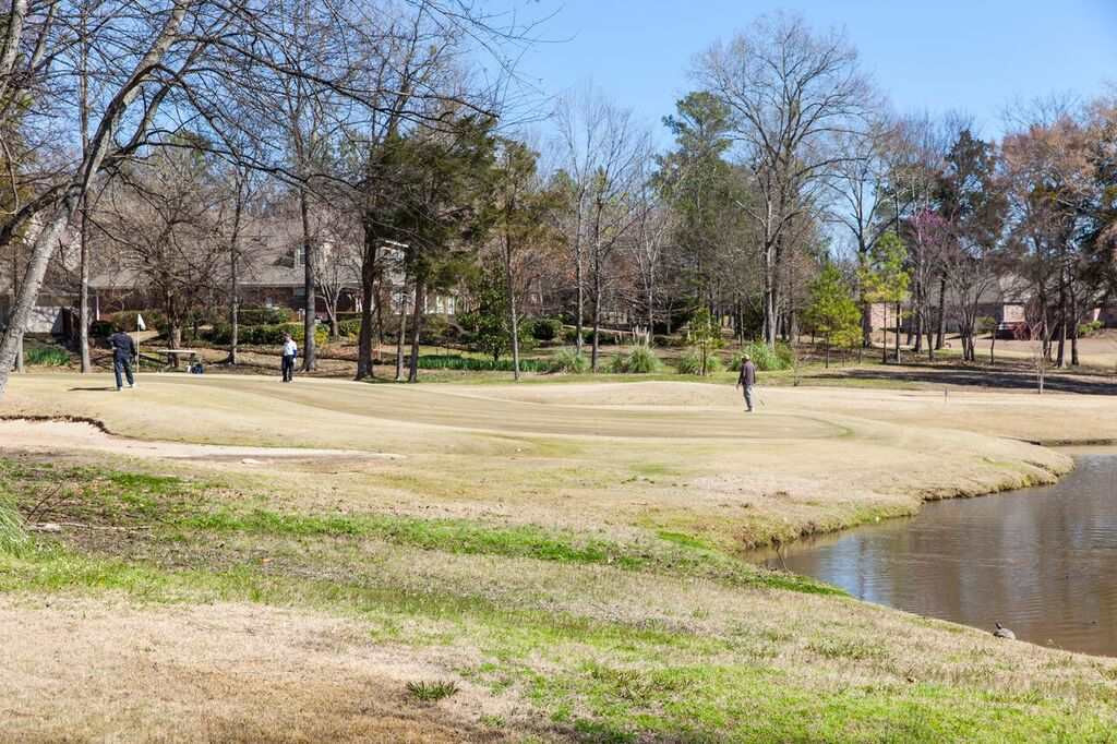 142 Sunflower Road Madison, MS 39110 - Photo 23 of 30 Photo 23