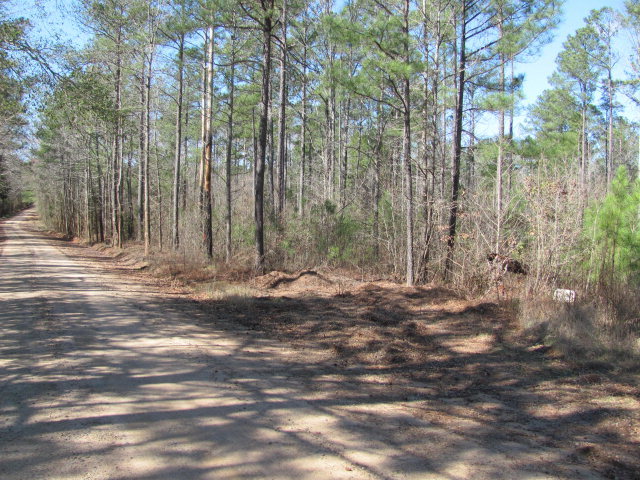 A1 Treadwell Road, Unit A1 Forsyth, GA 31029 - Photo 2 of 5 a view of a backyard with trees