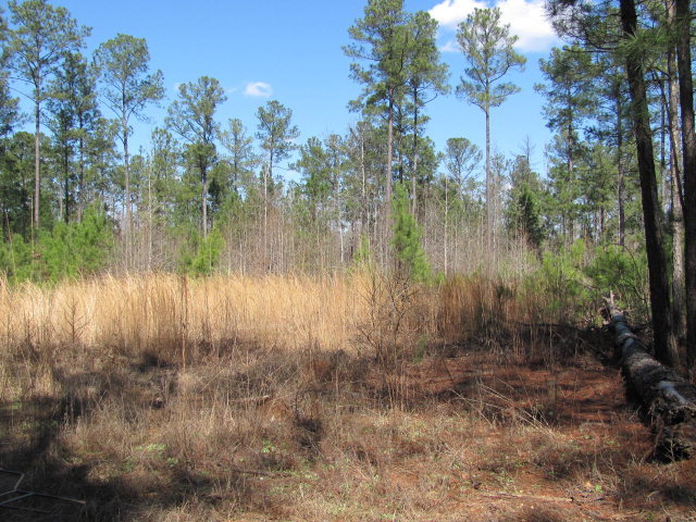 A1 Treadwell Road, Unit A1 Forsyth, GA 31029 - Photo 4 of 5