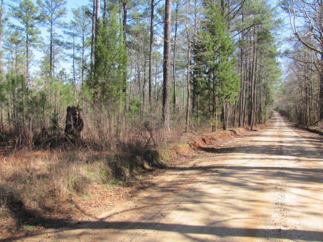 A1 Treadwell Road, Unit A1 Forsyth, GA 31029 - Photo 5 of 5 a view of a yard with large trees