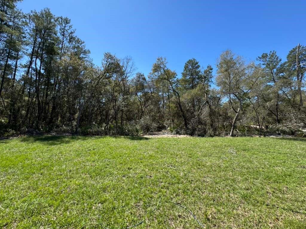 16090 Southwest 35th Court Road Ocala, FL 34473 - Photo 32 of 33