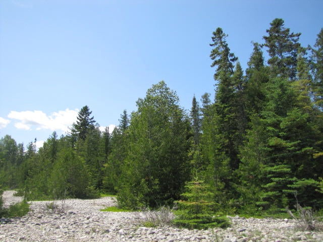 South Albany Point Road Presque Isle, MI 49777 - Photo 6 of 7 Gallery Image 6