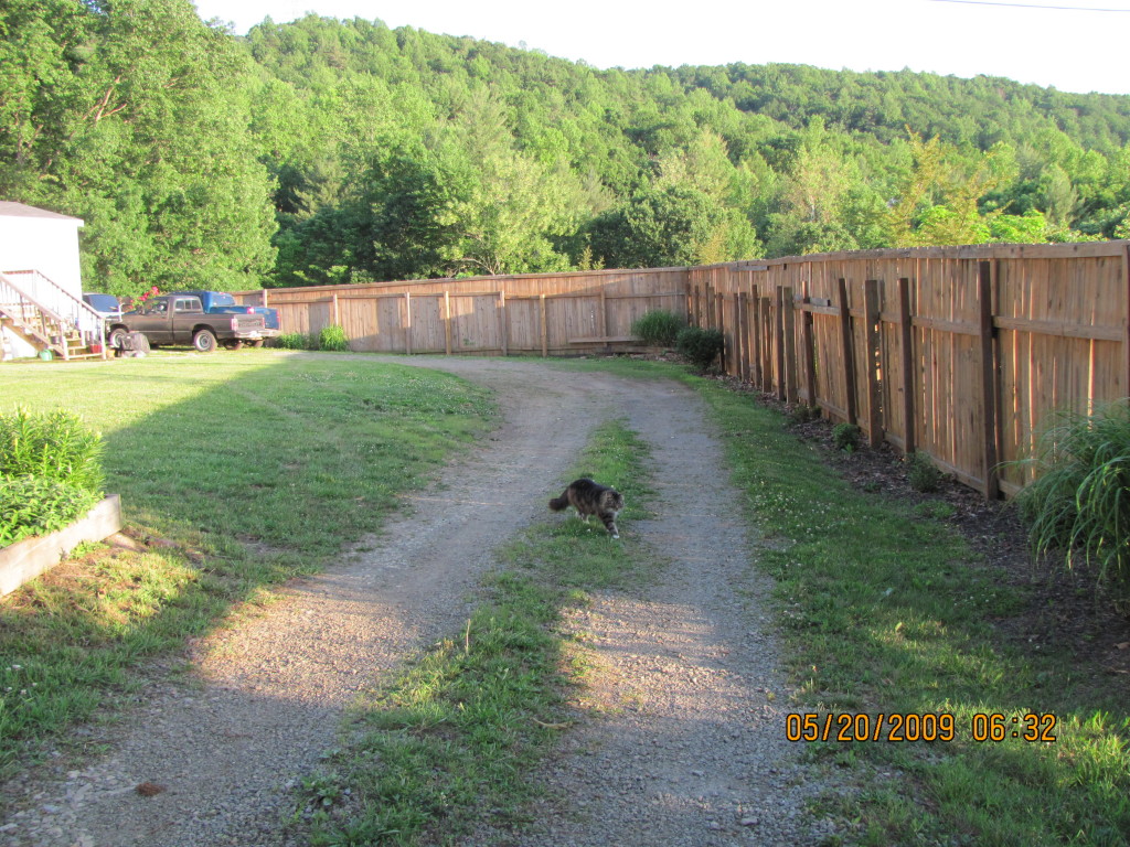 2427 Blue Bend Road Rocky Mount, VA 24151 - Photo 3 of 4 Driveway