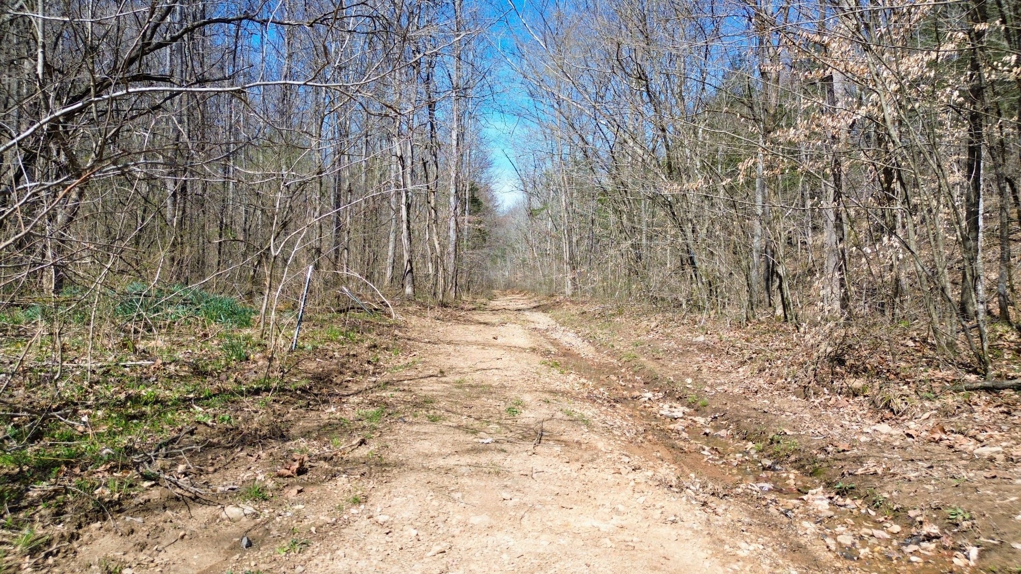 0 Old Lock A Road Charlotte, TN 37036 - Photo 20 of 24
