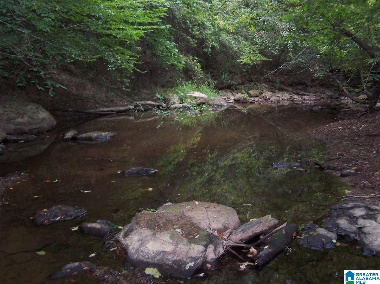 0 Jackson Trail, Unit 140 ACRES Altoona, AL 35952 - Photo 24 of 50