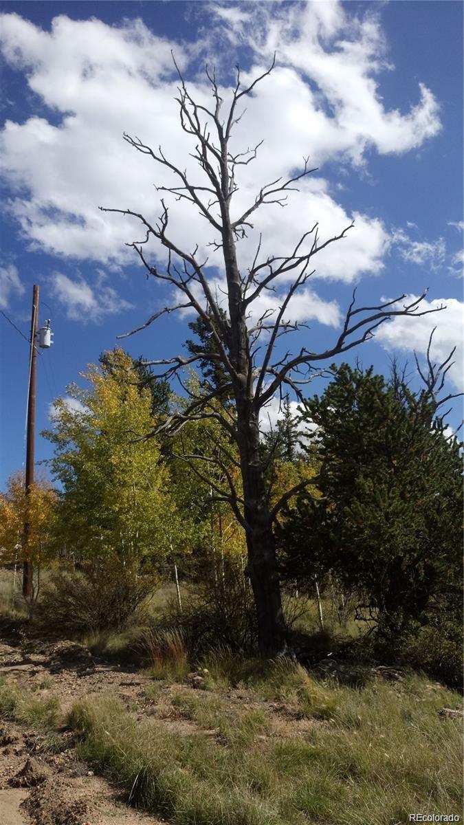 Foxtail Court Fairplay, CO 80440 - Photo 12 of 29 a backyard of a house