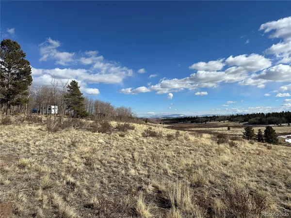 $149,000 | Foxtail Court, Fairplay, CO 80440