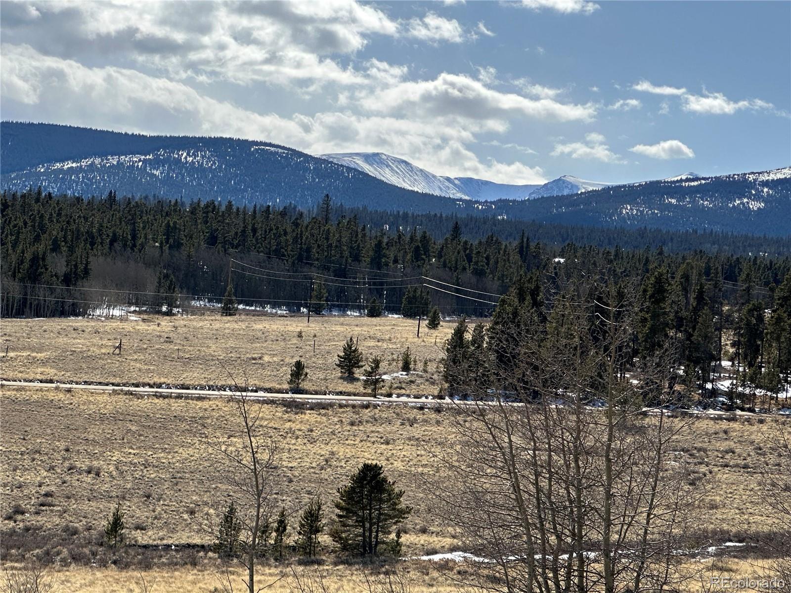 Foxtail Court Fairplay, CO 80440 - Photo 16 of 29 a view of a yard covered with snow in front of house