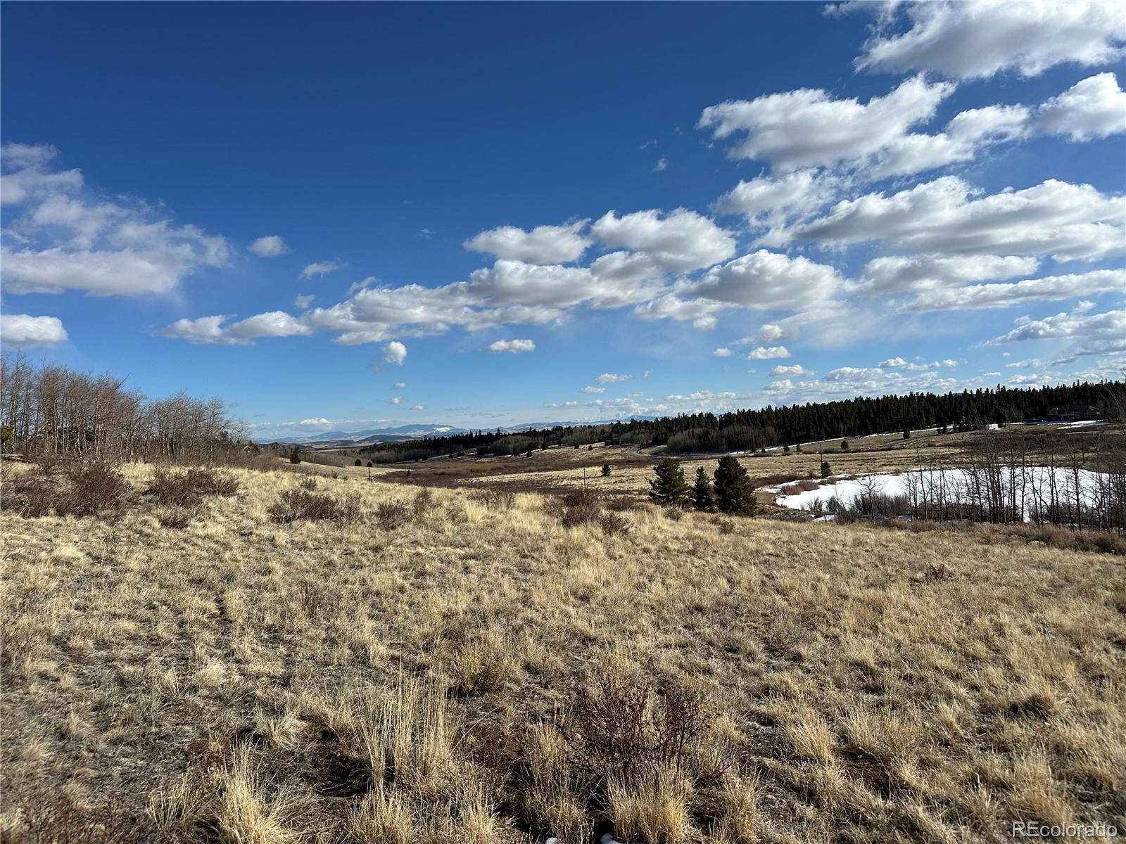 Foxtail Court Fairplay, CO 80440 - Photo 17 of 29 a view of a building in the background