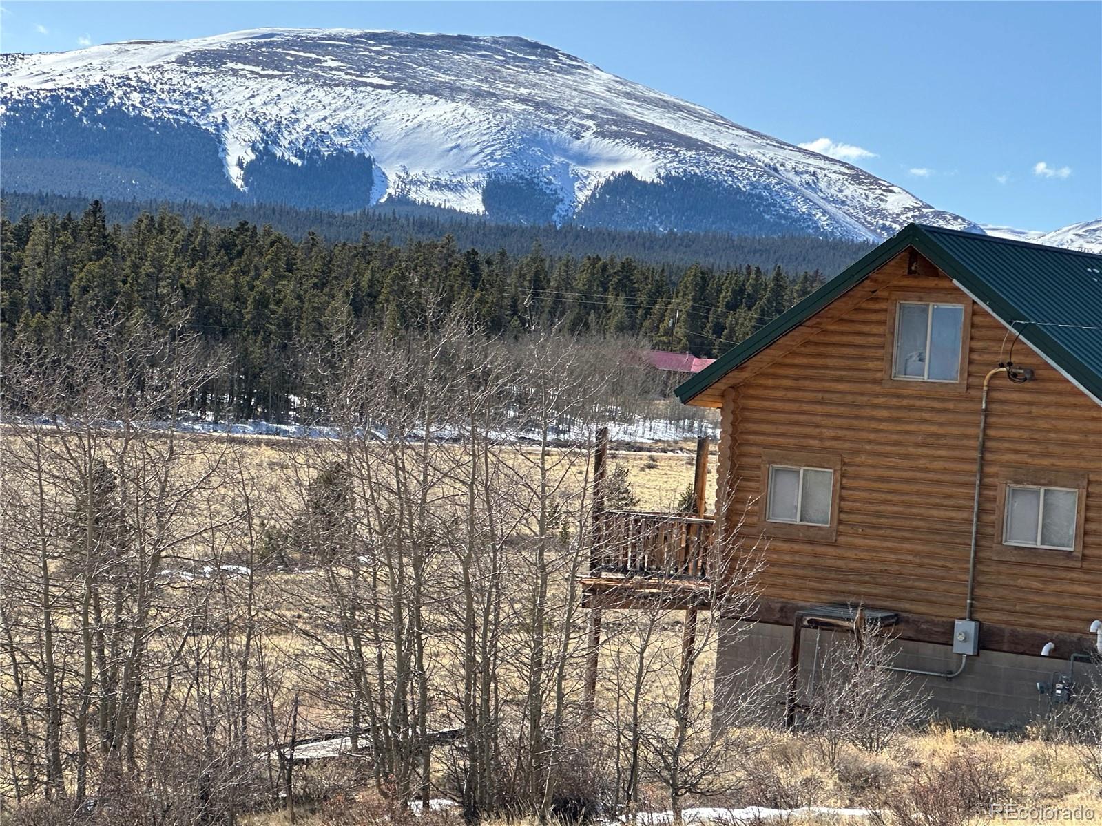 Foxtail Court Fairplay, CO 80440 - Photo 18 of 29 a view of a backyard with a large tree