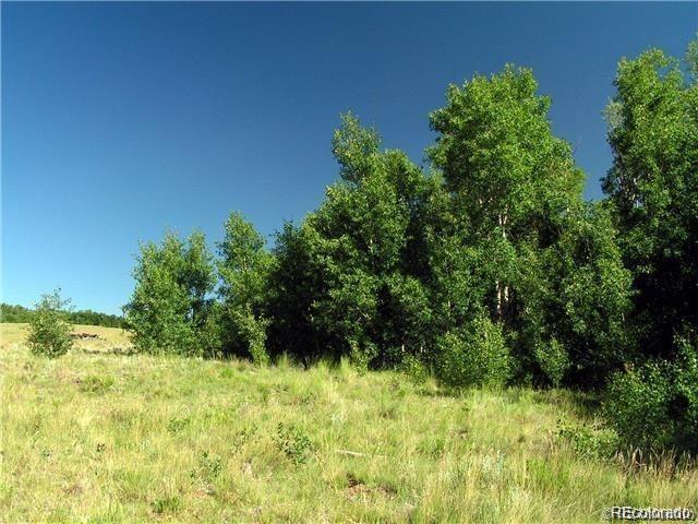 Foxtail Court Fairplay, CO 80440 - Photo 2 of 29 a view of a garden
