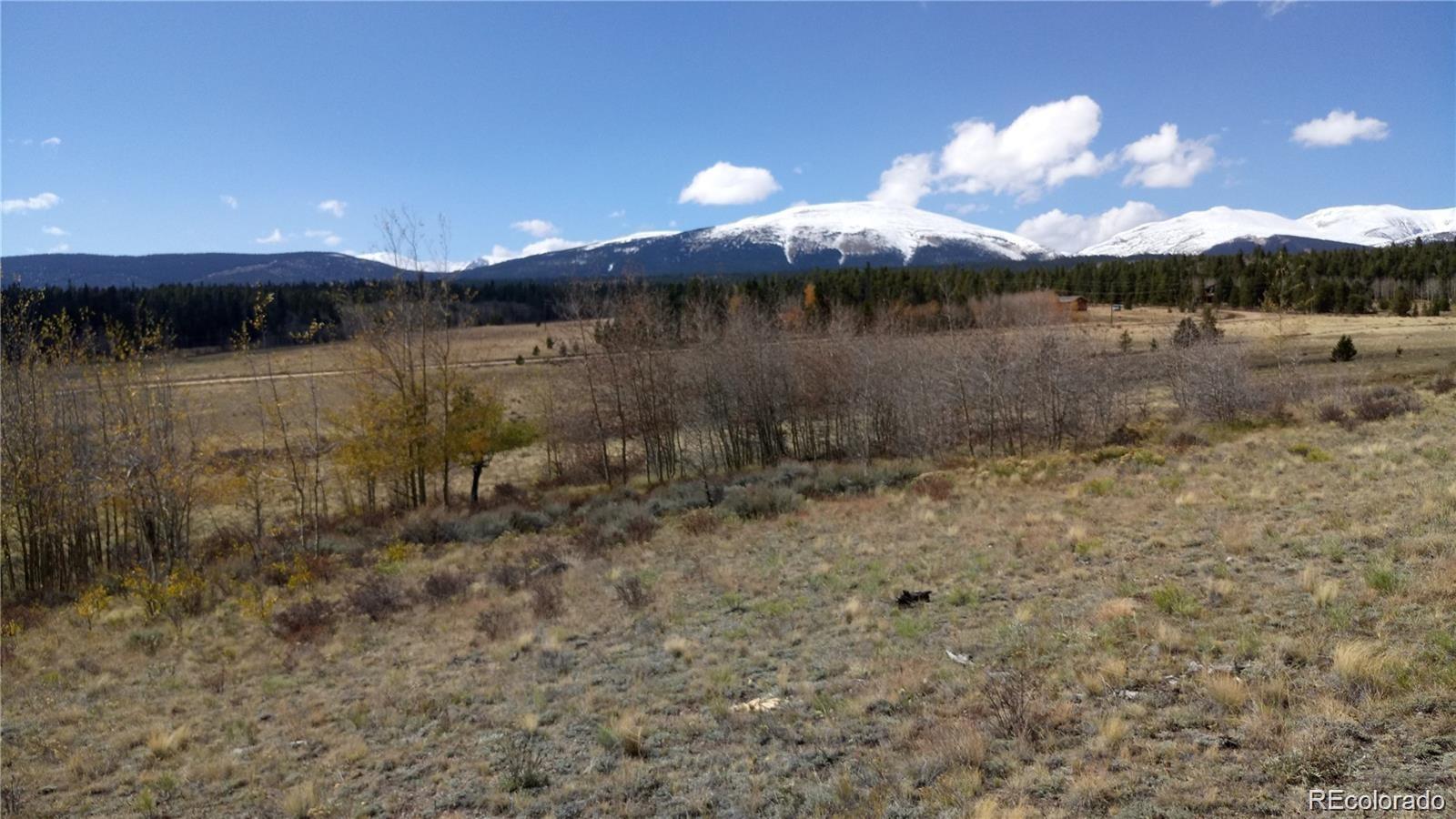 Foxtail Court Fairplay, CO 80440 - Photo 26 of 29 a view of a lake with large trees