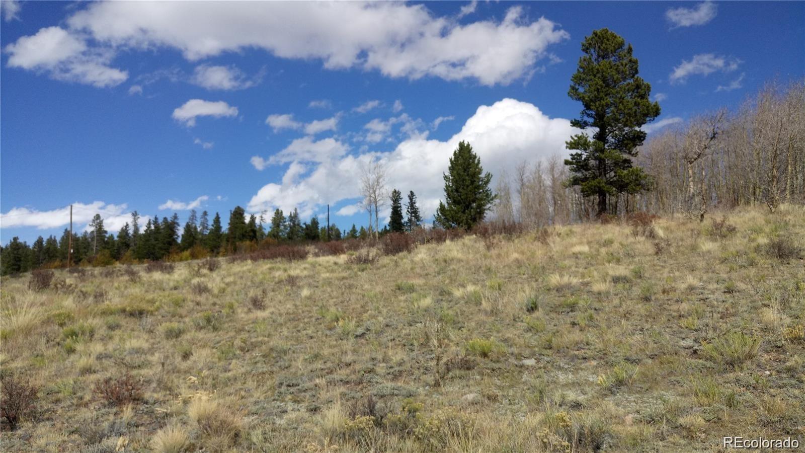 Foxtail Court Fairplay, CO 80440 - Photo 28 of 29 a view of a yard